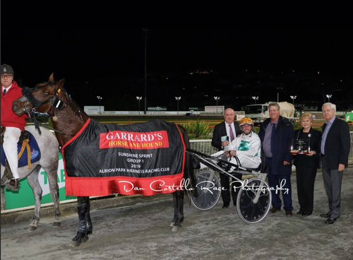 Ohoka Punter is leading Queensland 3YO sire